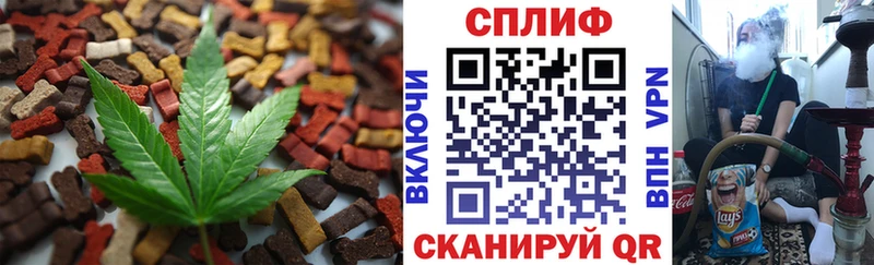 Canna-Cookies марихуана  Котельнич 