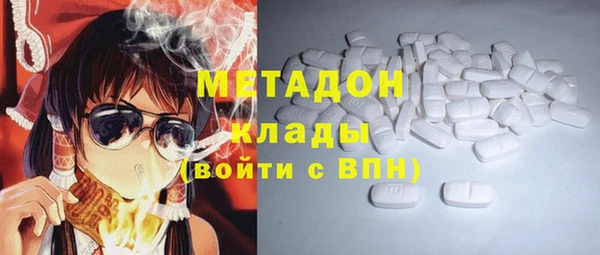 прущие грибы Богданович