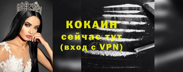 прущие грибы Богданович