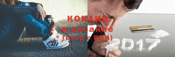 прущие грибы Богданович