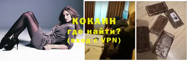прущие грибы Богданович