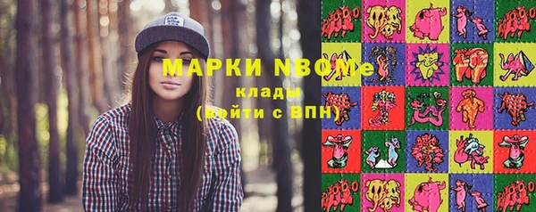 прущие грибы Богданович