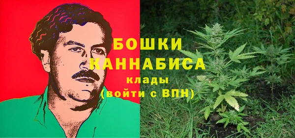 прущие грибы Богданович