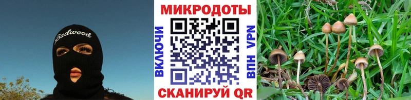 Псилоцибиновые грибы Cubensis  дарнет шоп  shop Telegram  Котельнич 